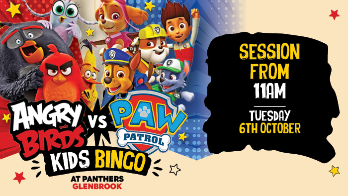Angry Birds vs PAW Patrol Kids Bingo
